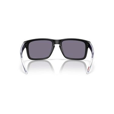 Gafas Oakley Holbrook OO9102-Z355
