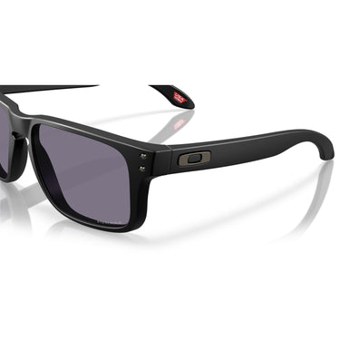 Gafas Oakley Holbrook S OO9509-0253