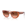 Gafas Ray-Ban Doreen RB2286-1415A5