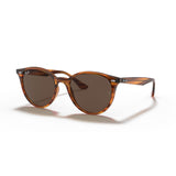 Gafas Ray-Ban RB4305-820/73