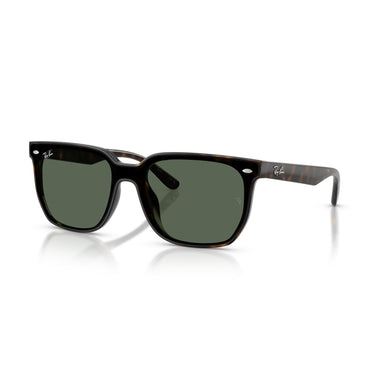 Gafas Ray-Ban RB4466D-710/71