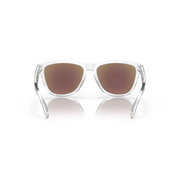 Gafas Oakley Frogskins OO9013-D055