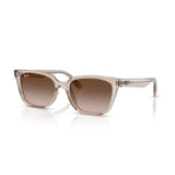 Gafas Ray-Ban RB2243D-682713
