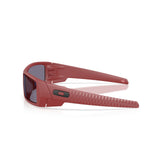 Gafas Oakley Gascan OO9014-E460