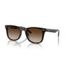 Gafas Ray-Ban RB4420-710/13