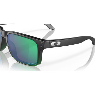 Gafas Oakley Holbrook OO9102-E455