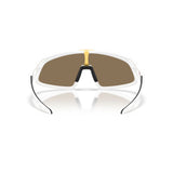 Gafas Oakley RSLV 141 OO9524D-0341