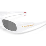 Gafas Oakley Permian OO9520-0259