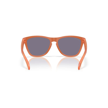 Gafas Oakley Frogskins OO9013-M155