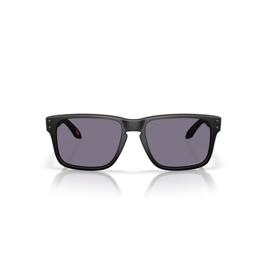 Gafas Oakley Holbrook S OO9509-0253
