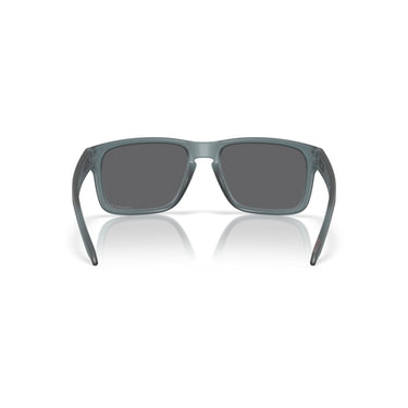 Gafas Oakley Holbrook OO9102-Z455