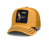 Gorra Goorin Bros Gotta Be Quicker Dorada