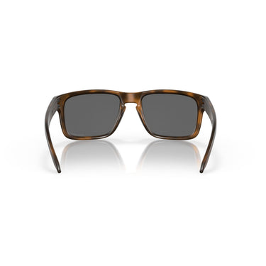 Gafas Oakley Holbrook OO9102-F455