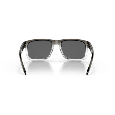 Gafas Oakley Holbrook OO9102-O255