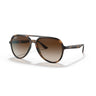 Gafas Ray-Ban RB4376-710/13